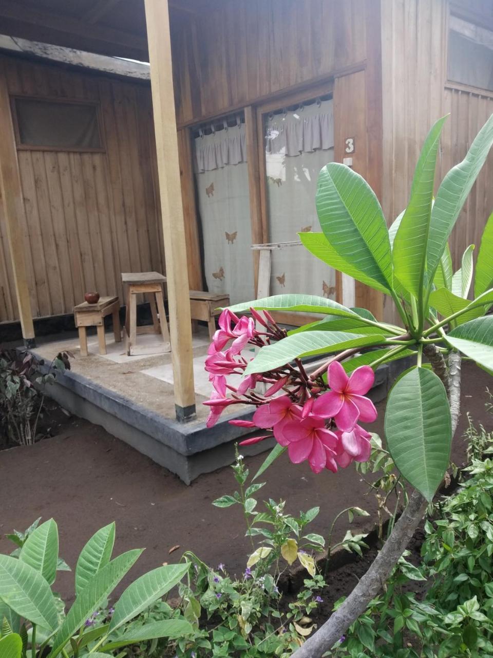 Beach Box Bungalow Gili Trawangan Exterior photo