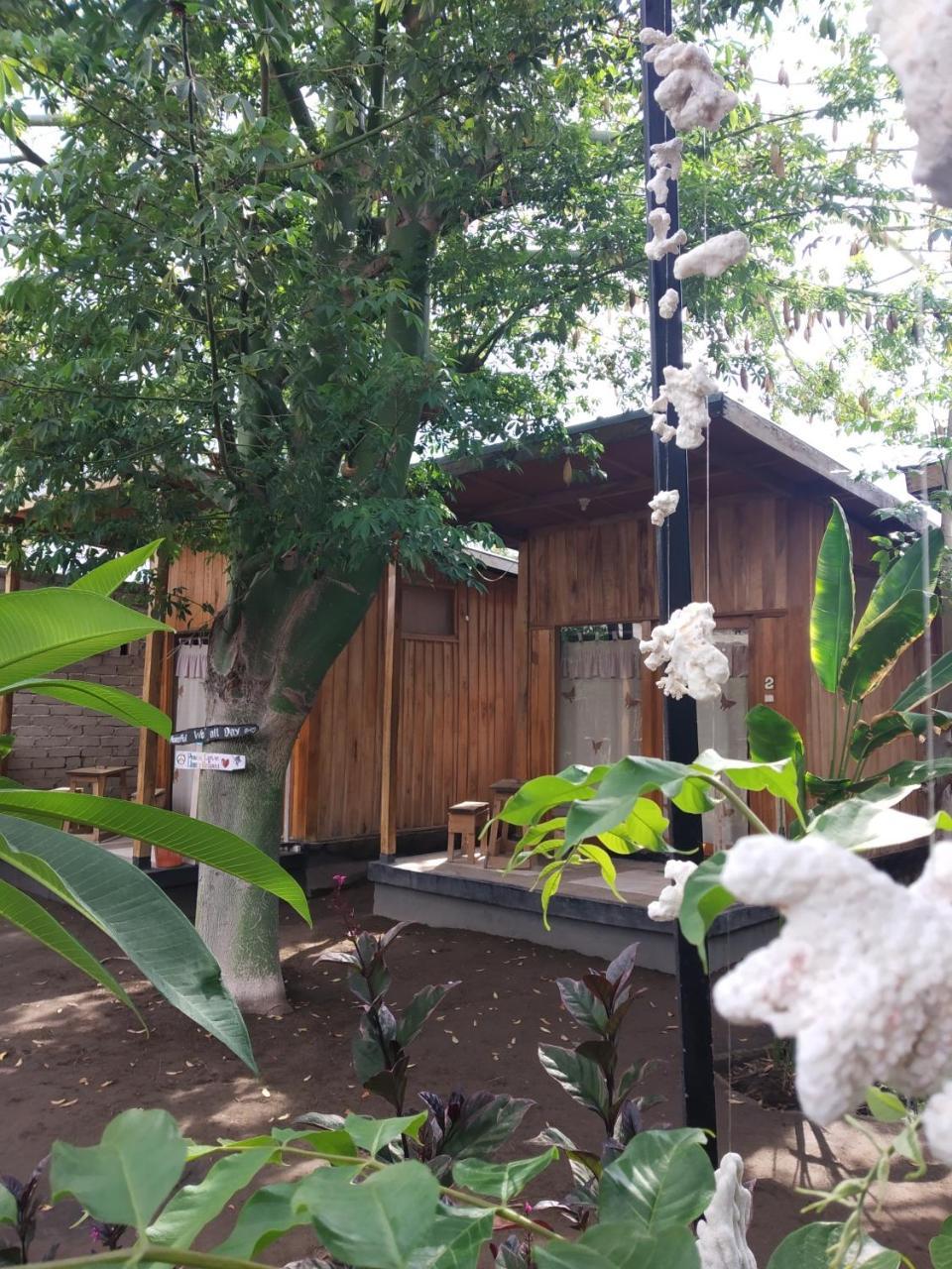 Beach Box Bungalow Gili Trawangan Exterior photo